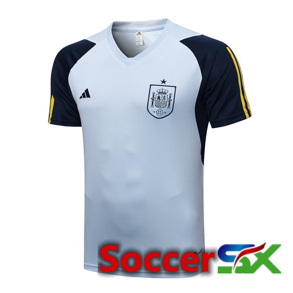 Spain Training T Shirt Blue 2023/2024