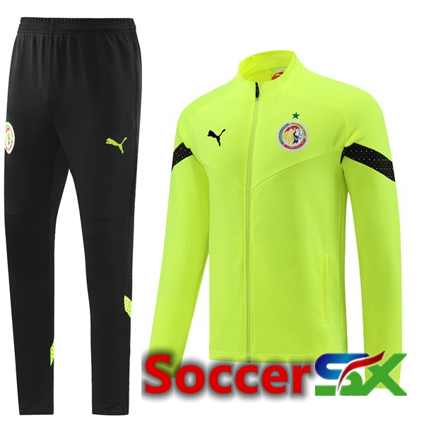 Senegal Training Jacket Suit Green 2023/2024