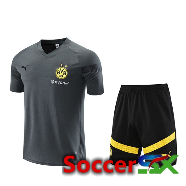 Dortmund BVB Training T Shirt + Shorts Grey 2023/2024