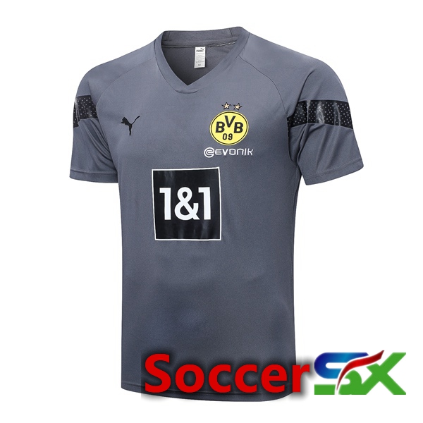 Dortmund BVB Training T Shirt Grey 2023/2024