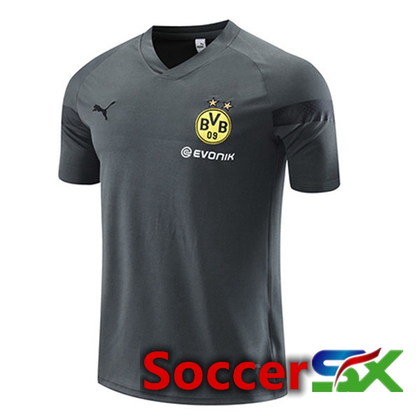 Dortmund BVB Training T Shirt Grey 2023/2024