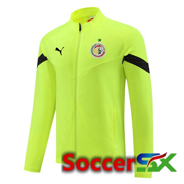 Senegal Training Jacket Green 2023/2024