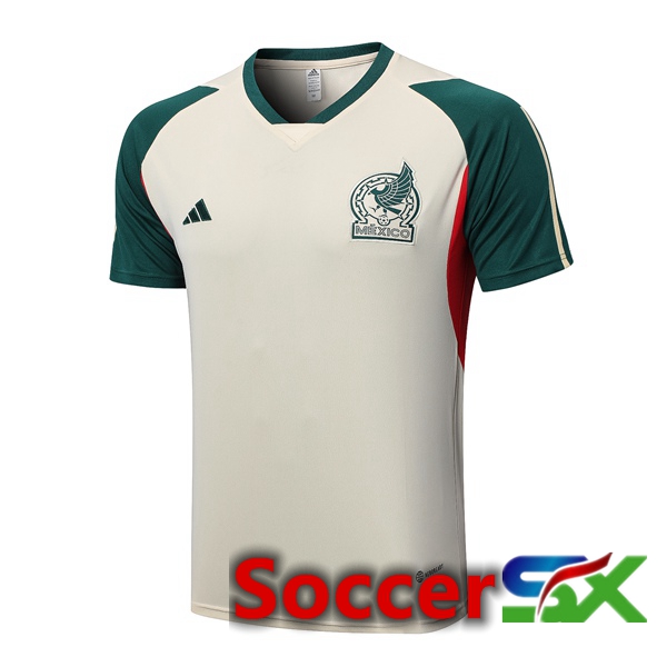 Mexico Training T Shirt Brown 2023/2024