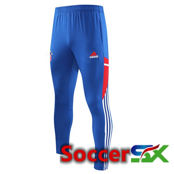 Bayern Munich Training Pants Blue 2023/2024