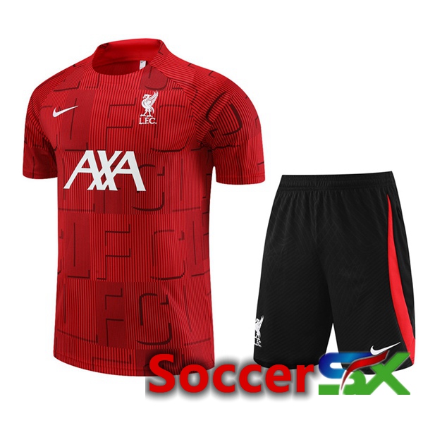 FC Liverpool Training T Shirt + Shorts Red 2023/2024