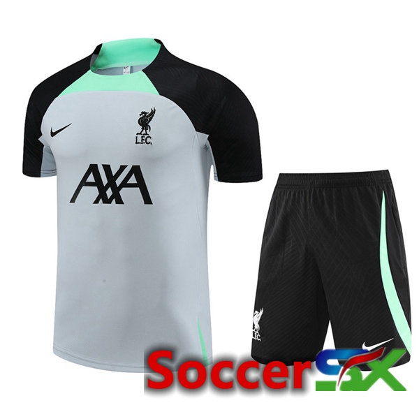 FC Liverpool Training T Shirt + Shorts Grey 2023/2024