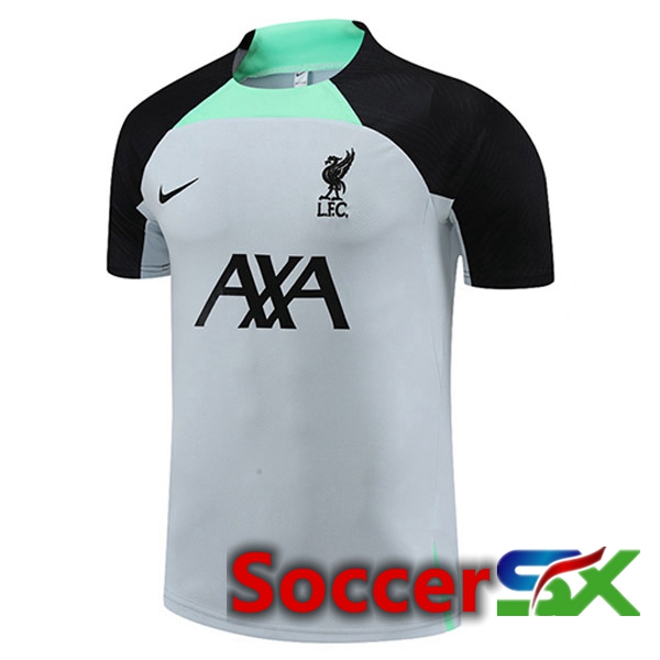 FC Liverpool Training T Shirt Grey 2023/2024