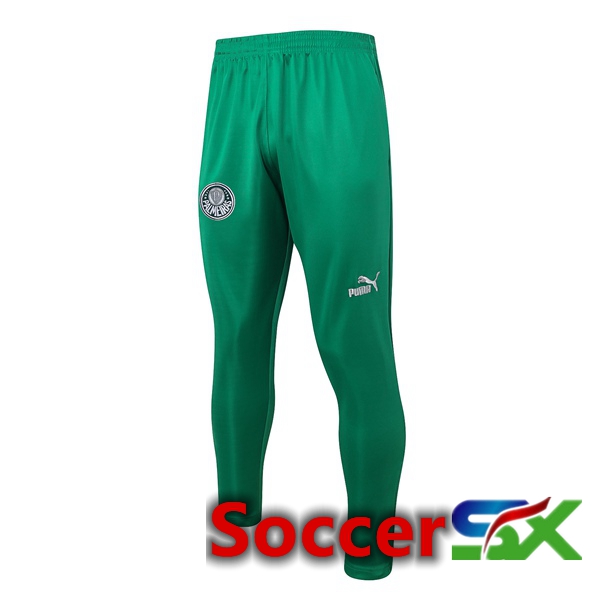 Palmeiras Training Pants Green 2023/2024