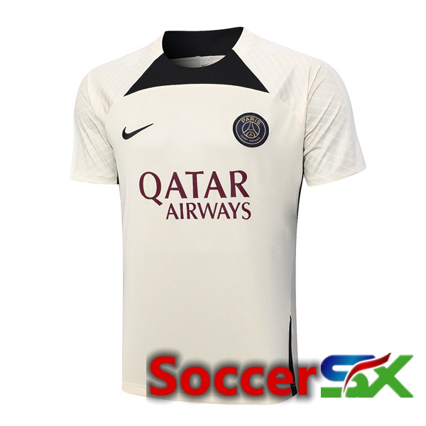 Paris PSG Training T Shirt Brown 2023/2024