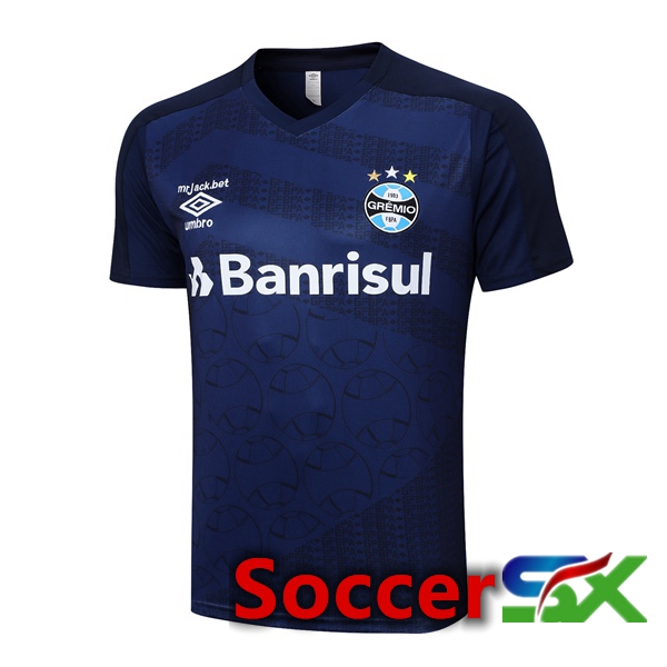 Gremio Training T Shirt Royal Blue 2023/2024