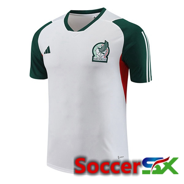 Mexico Training T Shirt White 2023/2024