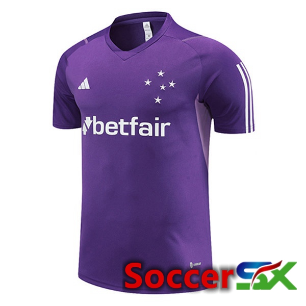 Cruzeiro EC Training T Shirt Purple 2023/2024