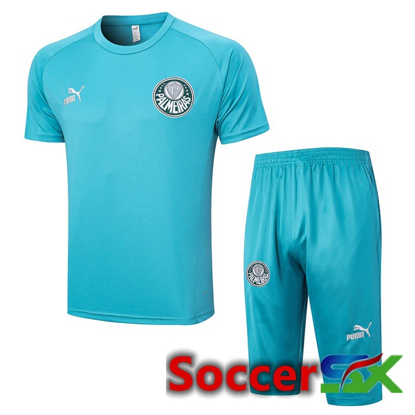 Palmeiras Training T Shirt + Shorts Cyan 2023/2024