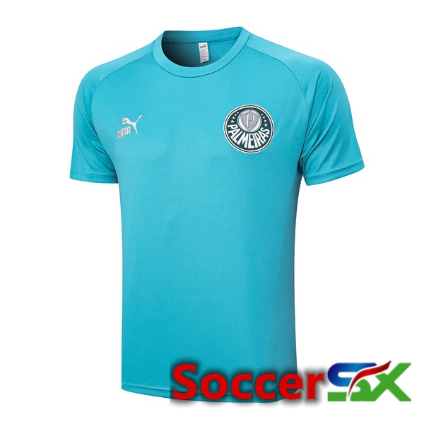 Palmeiras Training T Shirt Cyan 2023/2024