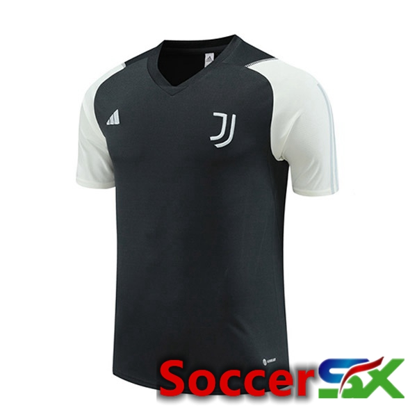 Juventus Training T Shirt Grey 2023/2024