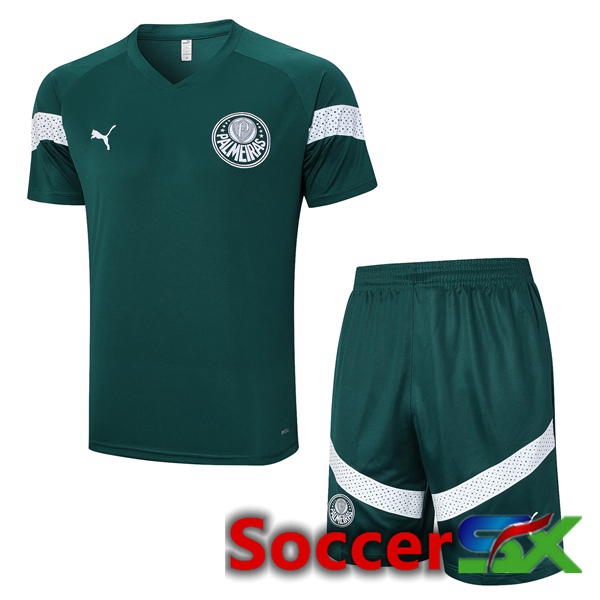 Palmeiras Training T Shirt + Shorts Green 2023/2024