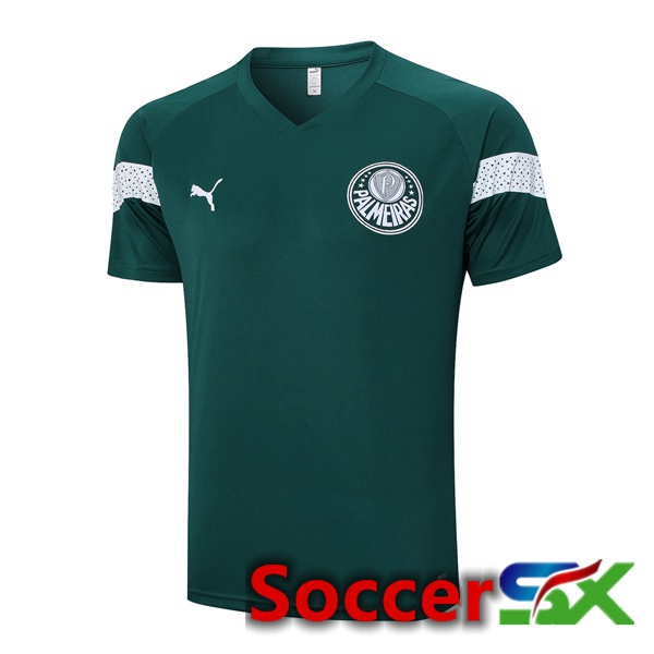 Palmeiras Training T Shirt Green 2023/2024