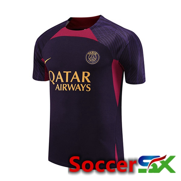 Paris PSG Training T Shirt Purple 2023/2024