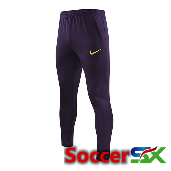 Paris PSG Training Pants Purple 2023/2024