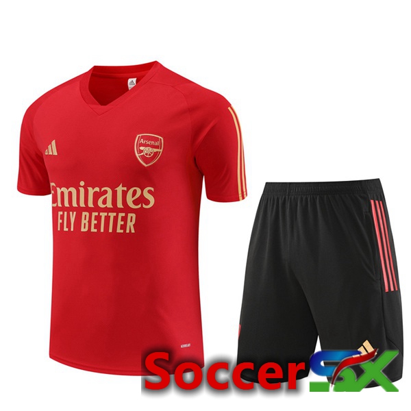 Arsenal Training T Shirt + Shorts Red 2023/2024