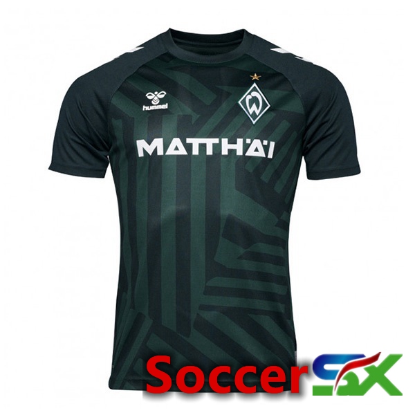 SV Werder Bremen Third Soccer Jersey Green 2023/2024