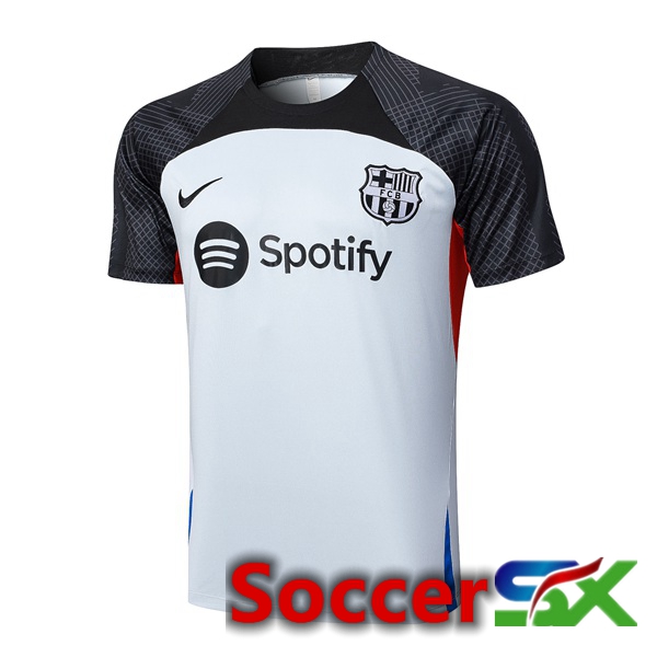 FC Barcelona Training T Shirt Grey 2023/2024