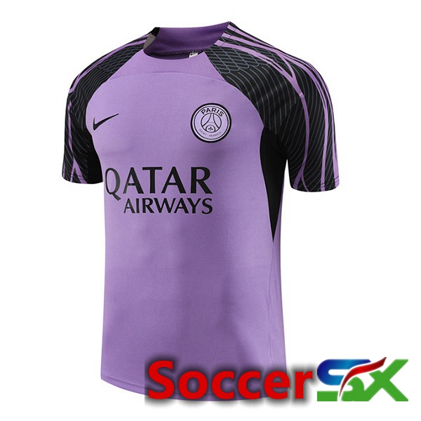 Paris PSG Training T Shirt Purple 2023/2024