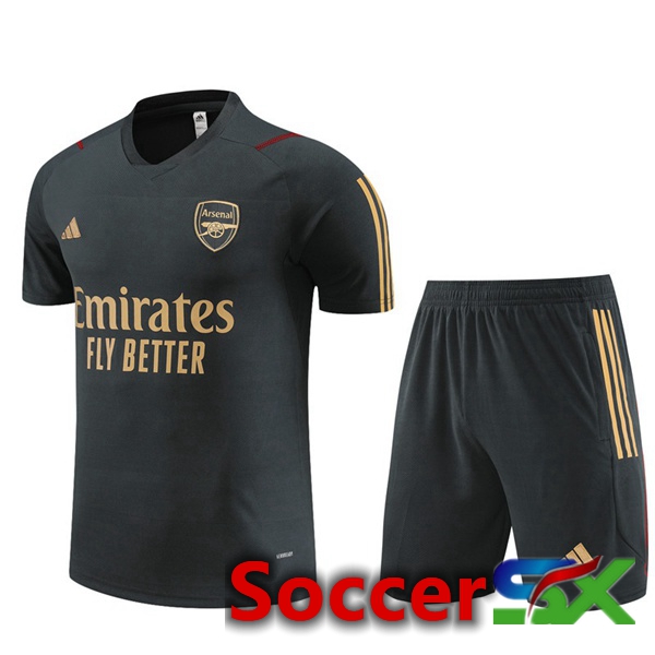 Arsenal Training T Shirt + Shorts Grey 2023/2024