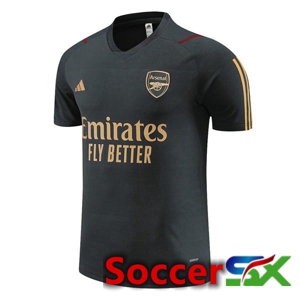 Arsenal Training T Shirt Grey 2023/2024