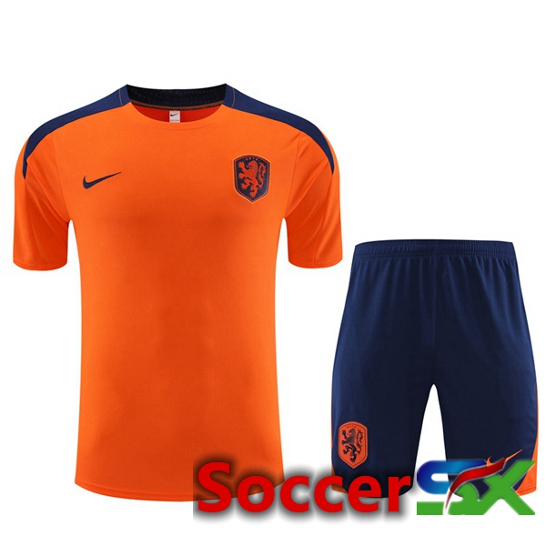 Netherlands Training T Shirt + Shorts Orange 2023/2024