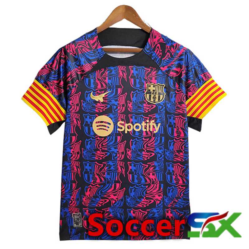 FC Barcelona Soccer Jersey 2 Special Edition 2023/2024