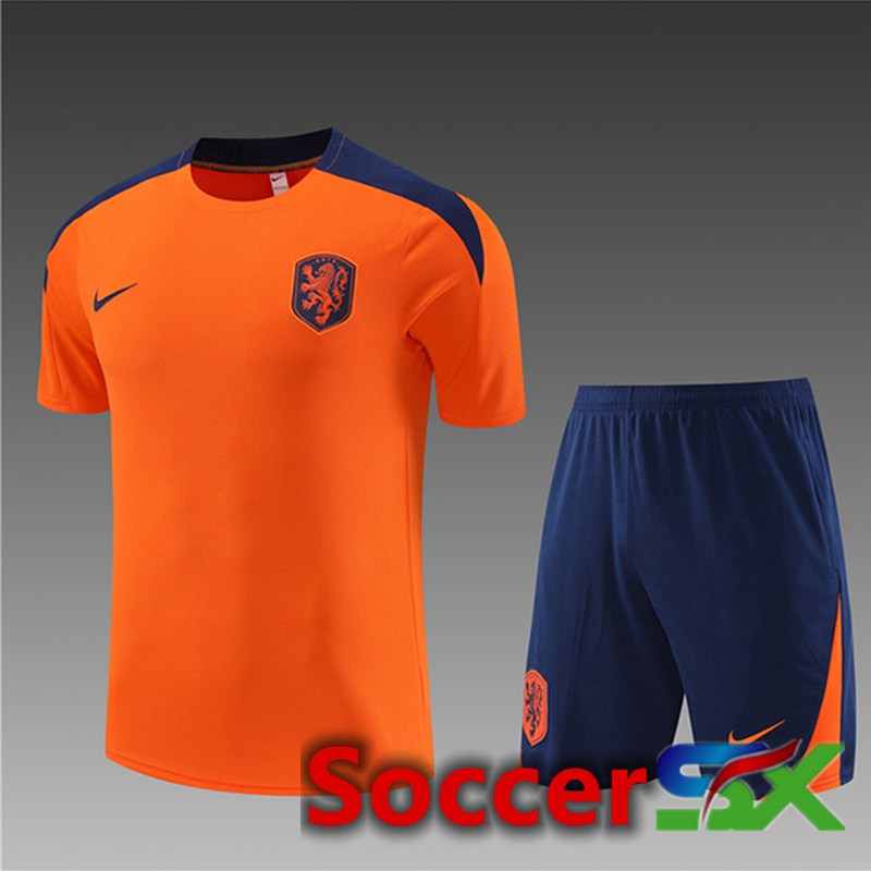 Pays-Bas Kids Training T Shirt + Shorts Orange 2023/2024
