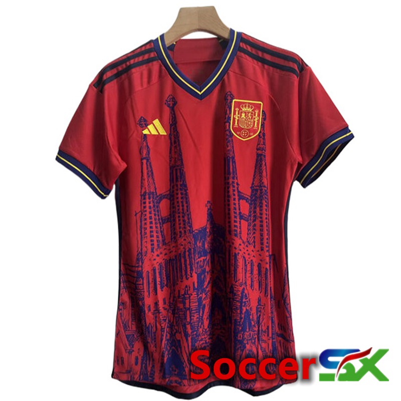 Spain Soccer Jersey Special Edition 2024/2025