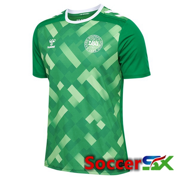 Denmark Goalkeeper Soccer Jersey Green UEFA Euro 2024