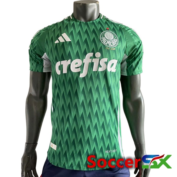 Palmeiras Soccer Jersey Special Edition Green 2024/2025