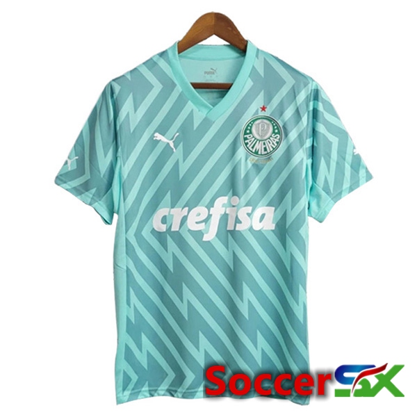 Palmeiras Goalkeeper Soccer Jersey Green 2024/2025