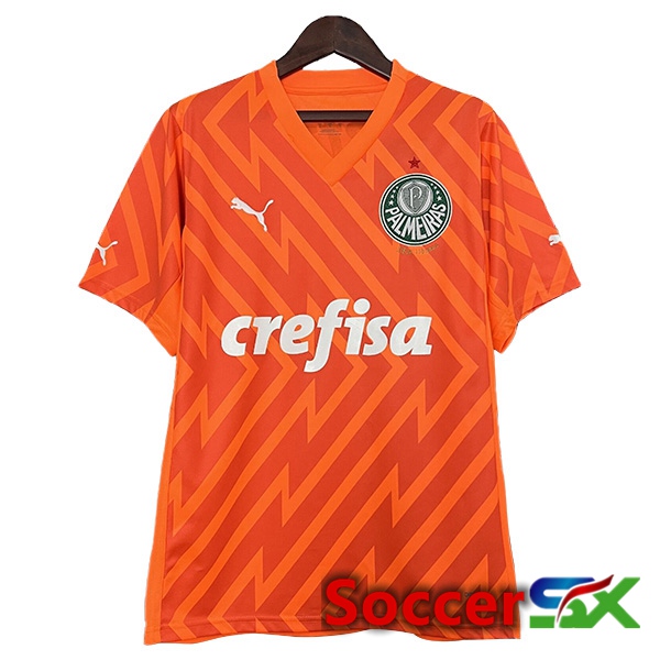 Palmeiras Goalkeeper Soccer Jersey Orange 2024/2025