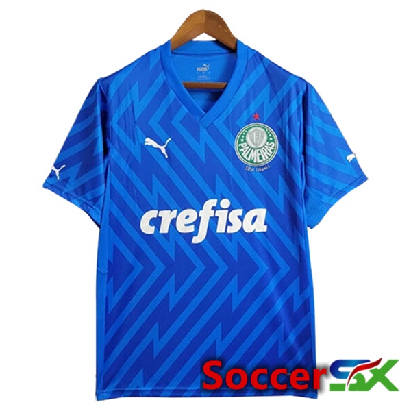 Palmeiras Goalkeeper Soccer Jersey Blue 2024/2025