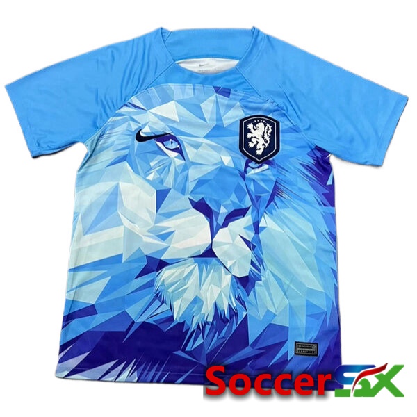 Netherlands Soccer Jersey Special Edition Blue 2024/2025