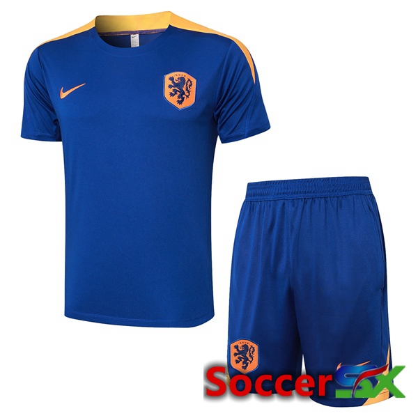 Netherlands kit Training T Shirt + Shorts Blue Royal 2024/2025