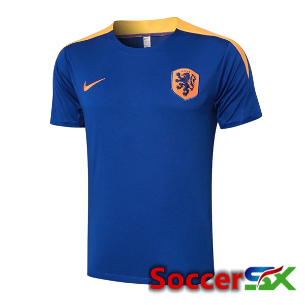 Netherlands Training T Shirt Blue Royal 2024/2025