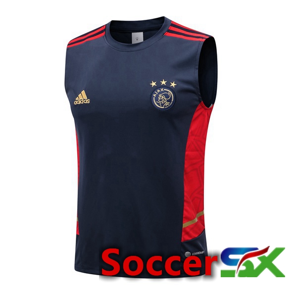 AFC Ajax Soccer Vest Royal Blue 2022/2023