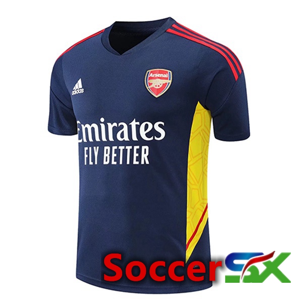 Arsenal Training T Shirt Royal Blue 2022/2023