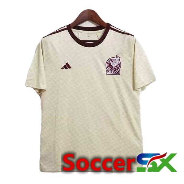 Mexico Away Jersey Yellow Version Leak World Cup 2022