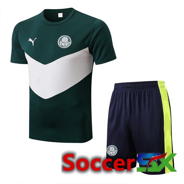 Palmeiras Training T Shirt + Shorts Green White 2022/2023