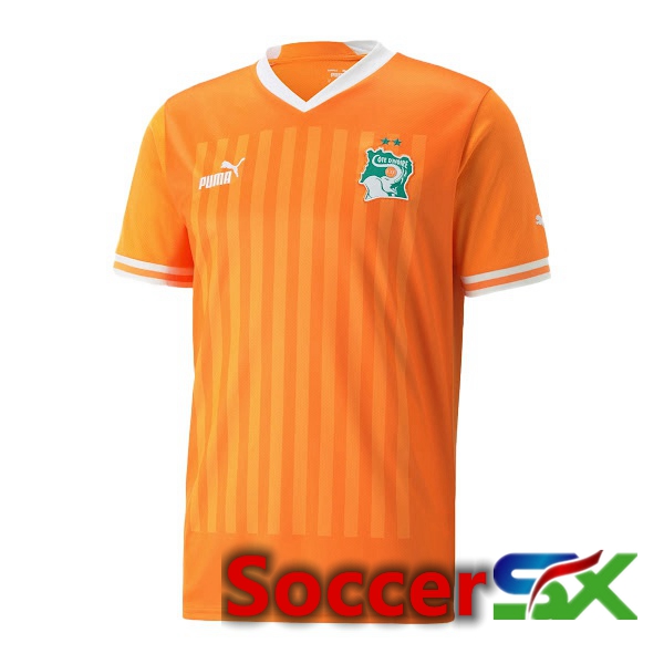 Ivory Coast Home Jersey Yellow 2023/2023