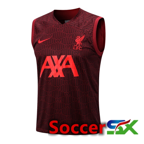 FC Liverpool Soccer Vest Red 2022/2023