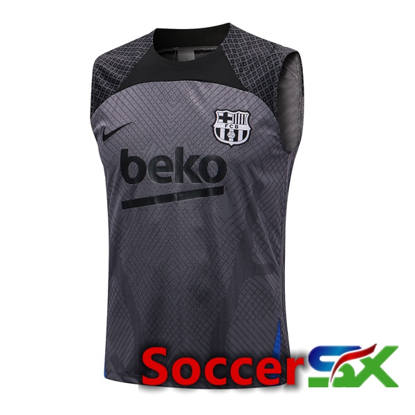 FC Barcelona Soccer Vest Grey 2022/2023