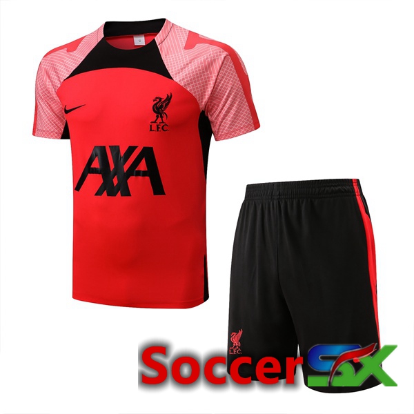 FC Liverpool Training T Shirt + Shorts Red 2022/2023