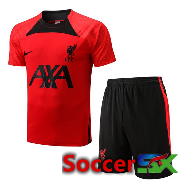 FC Liverpool Training T Shirt + Shorts Red 2022/2023